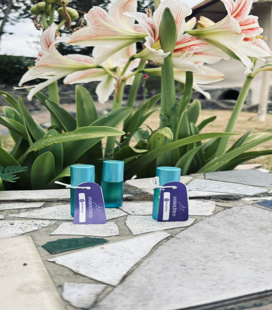 WhatsApp Image 2025-09-08 at 17.58.05-convertido-a-1050x1200